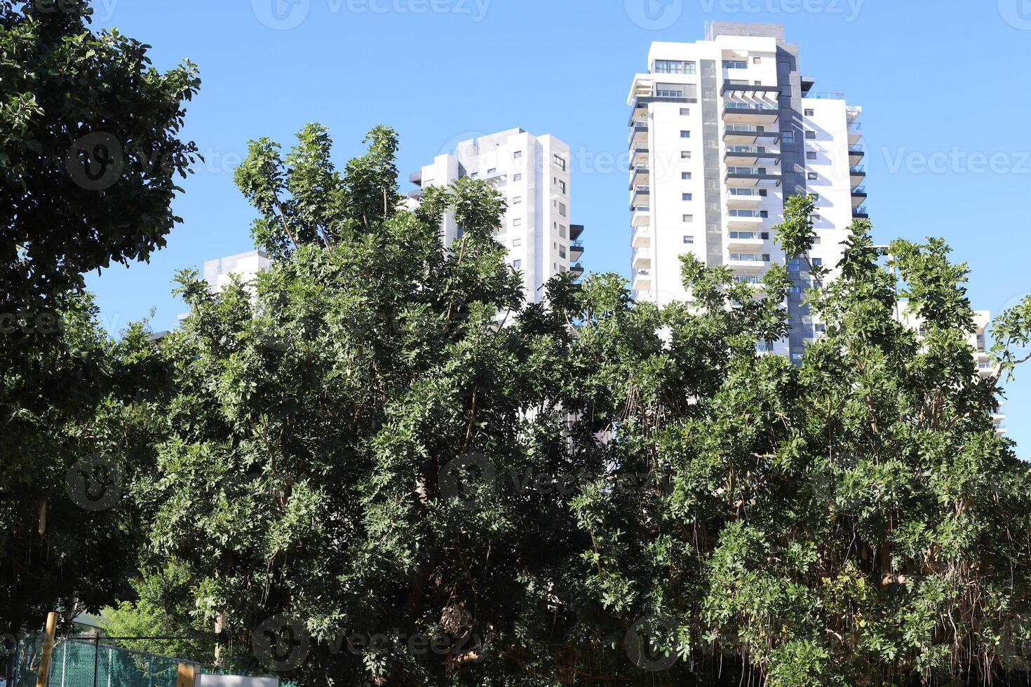 Tel Aviv Israel 03 28 2024. Buildings and structures in Tel Aviv through the foliage of tall trees. photo