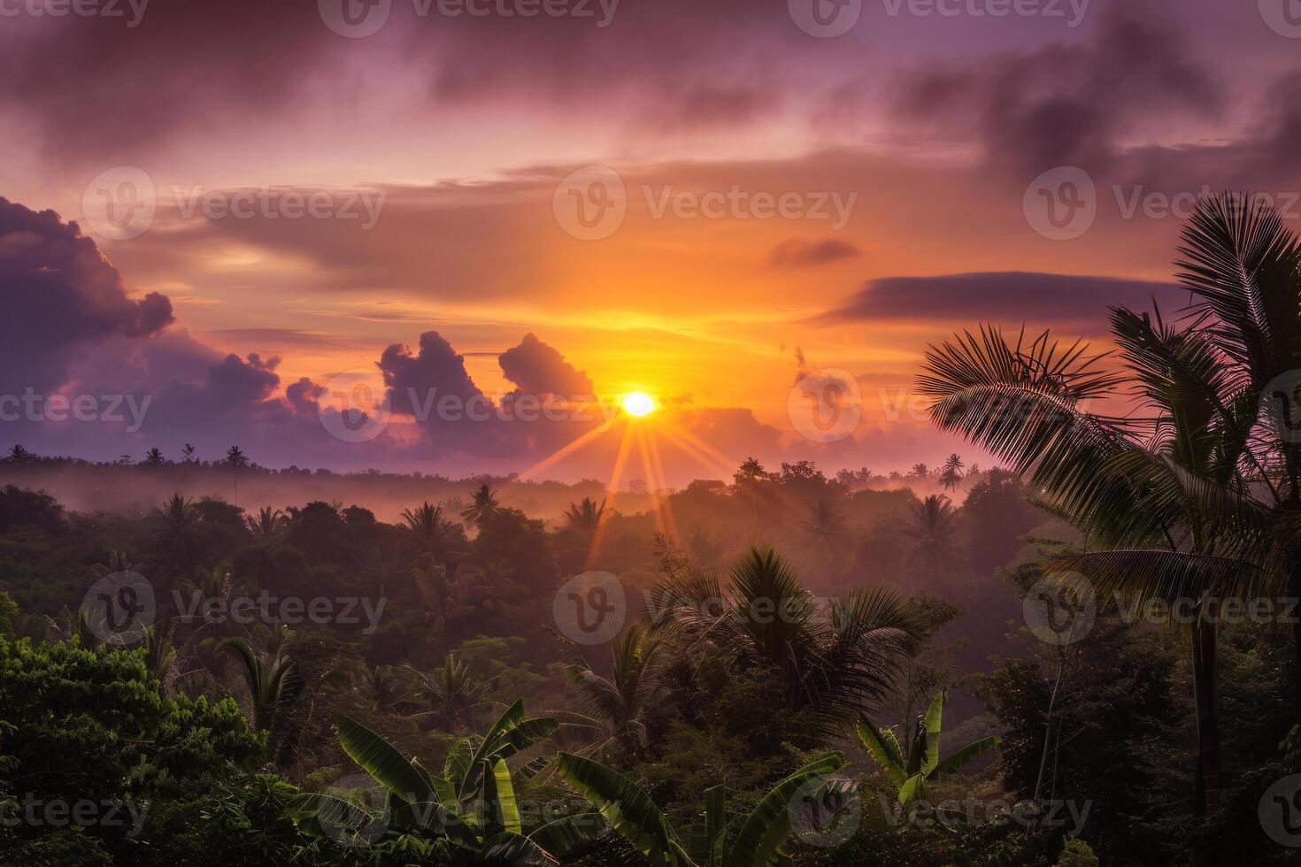 photo sunrise over bali jungle