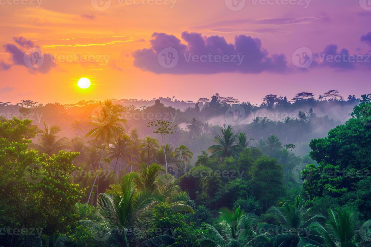 photo sunrise over bali jungle