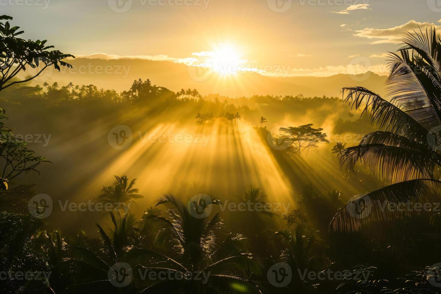 photo sunrise over bali jungle