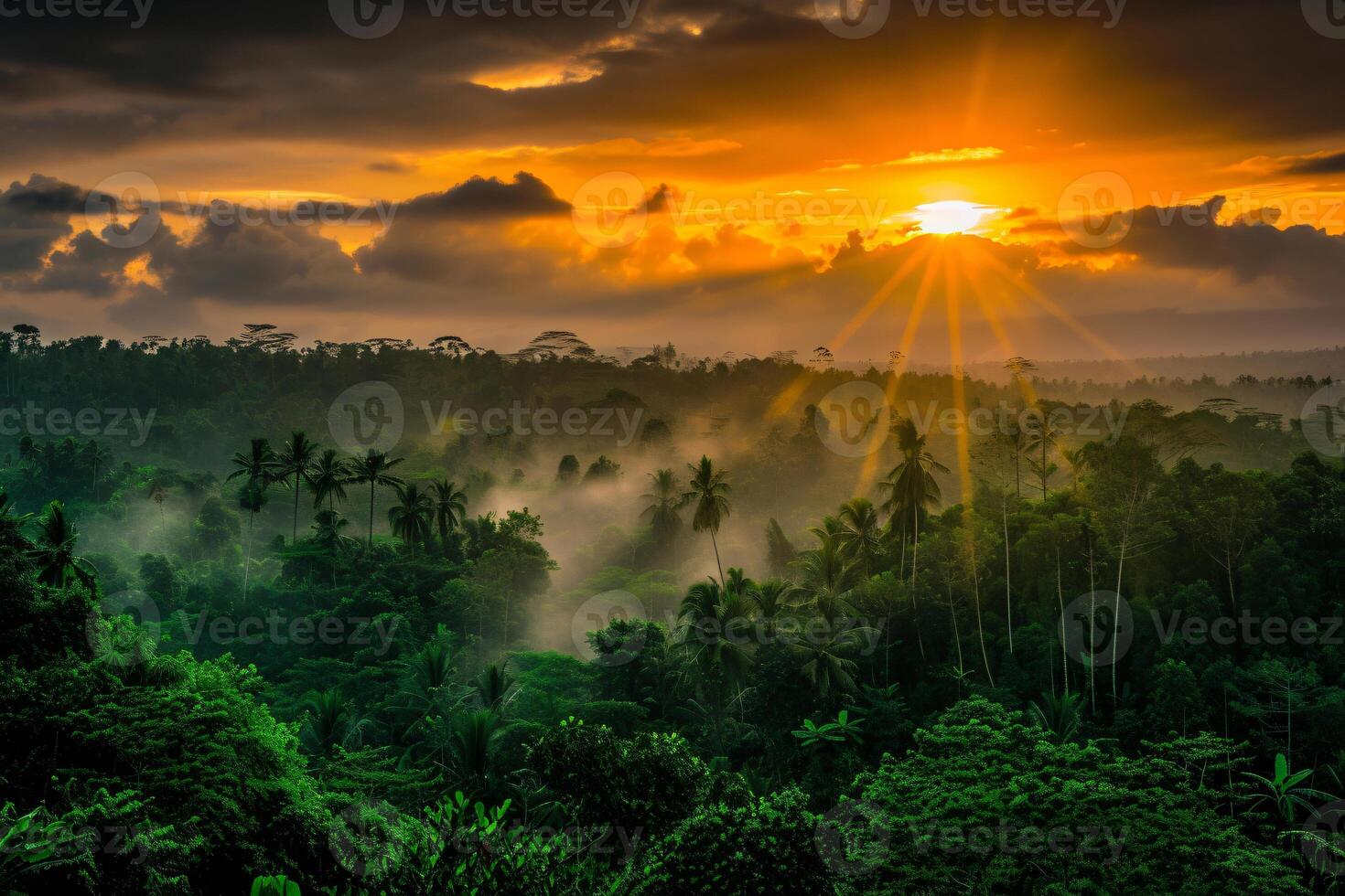 photo sunrise over bali jungle