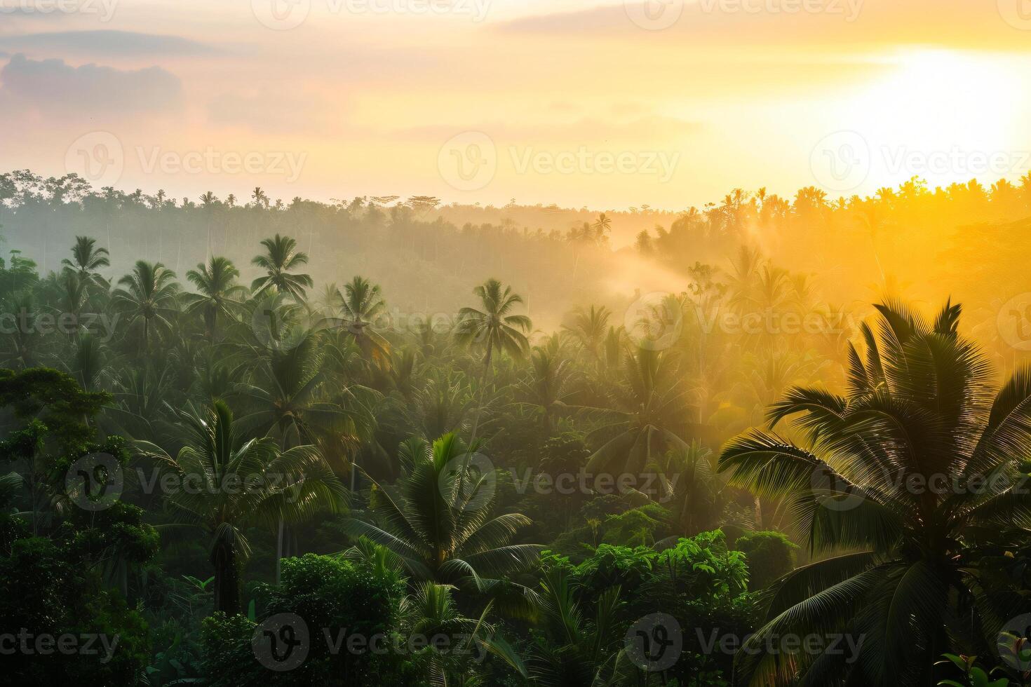 photo sunrise over bali jungle