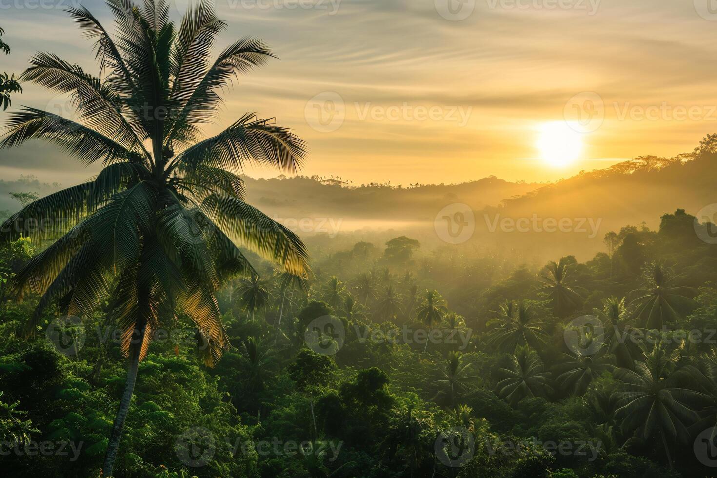 photo sunrise over bali jungle