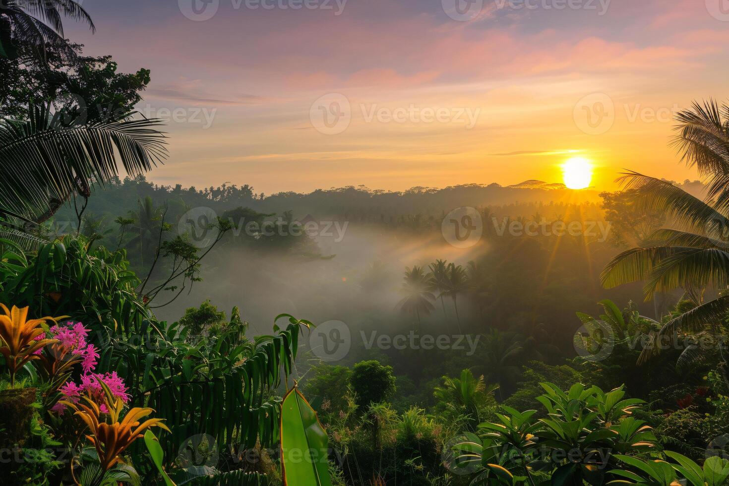 photo sunrise over bali jungle