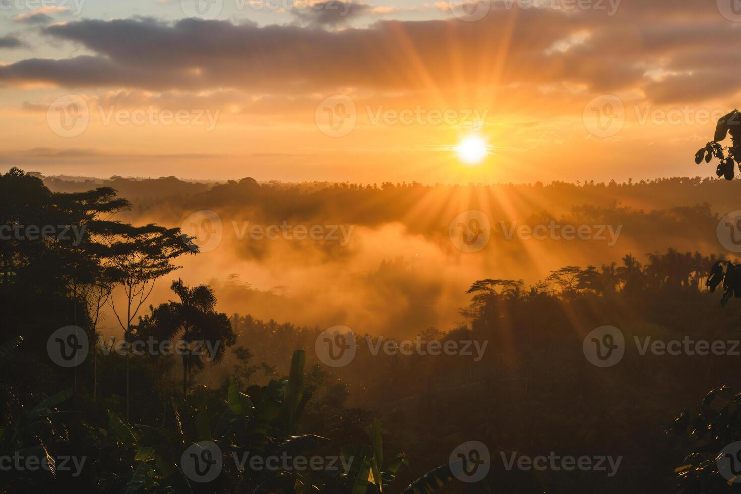 photo sunrise over bali jungle