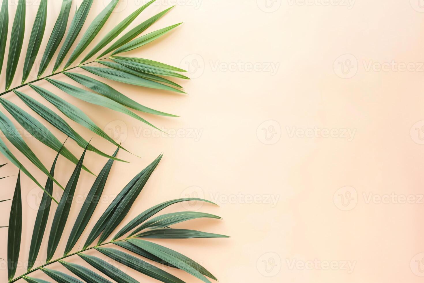 photo fresh palm leaves on beige background