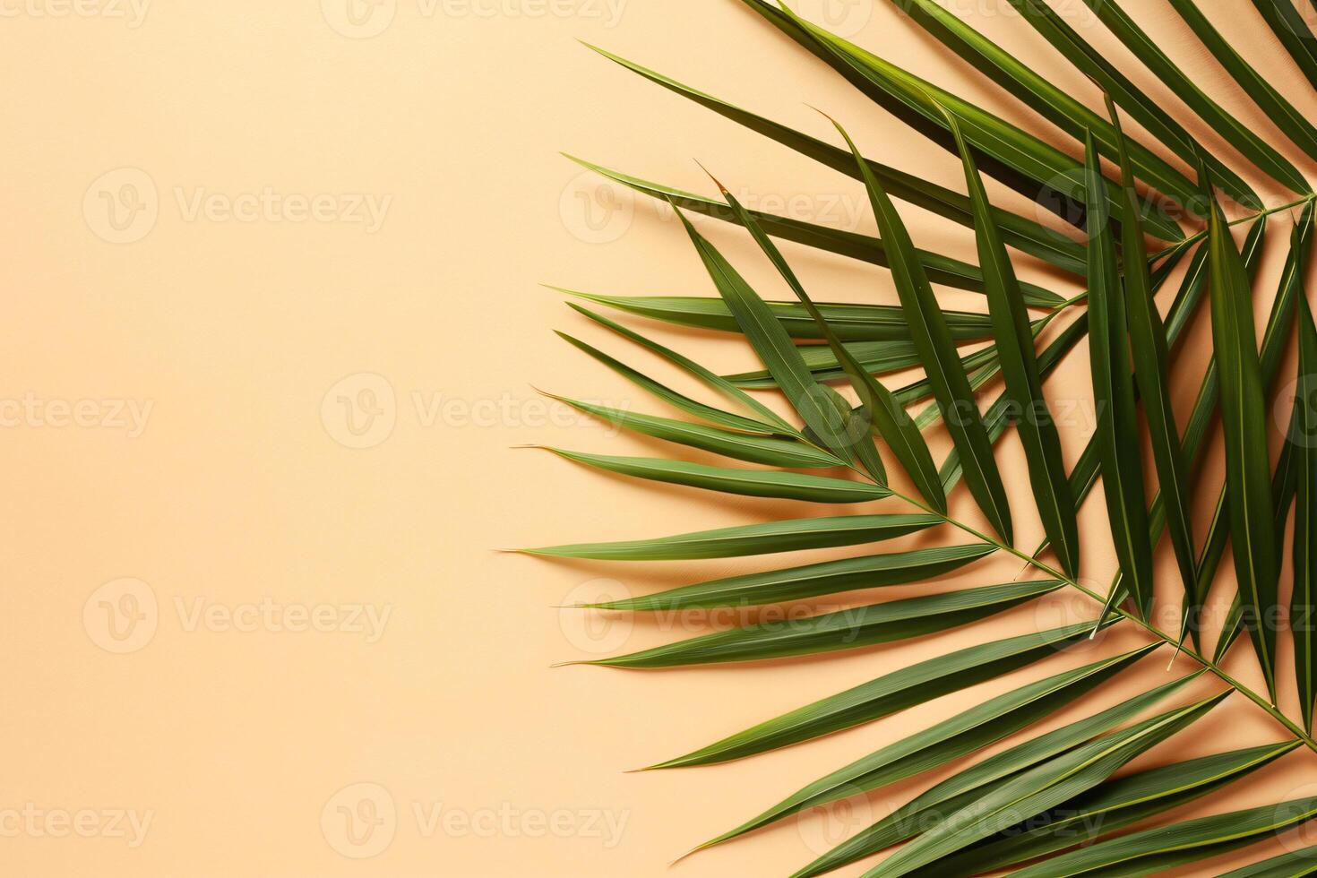 photo fresh palm leaves on beige background