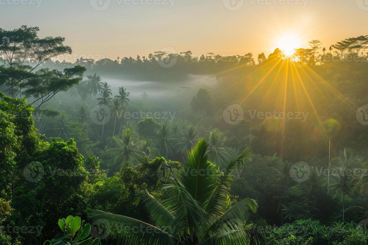 photo sunrise over bali jungle