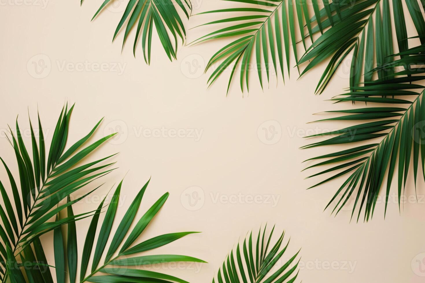 photo fresh palm leaves on beige background