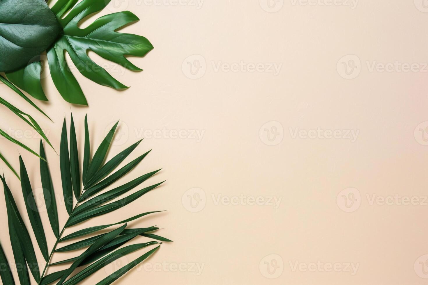 photo fresh palm leaves on beige background