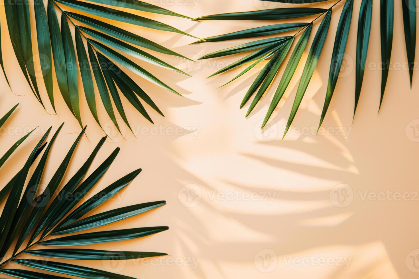 photo fresh palm leaves on beige background