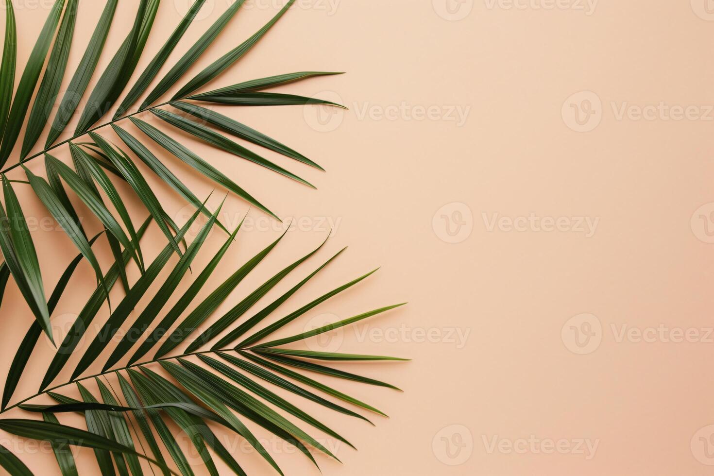 photo fresh palm leaves on beige background