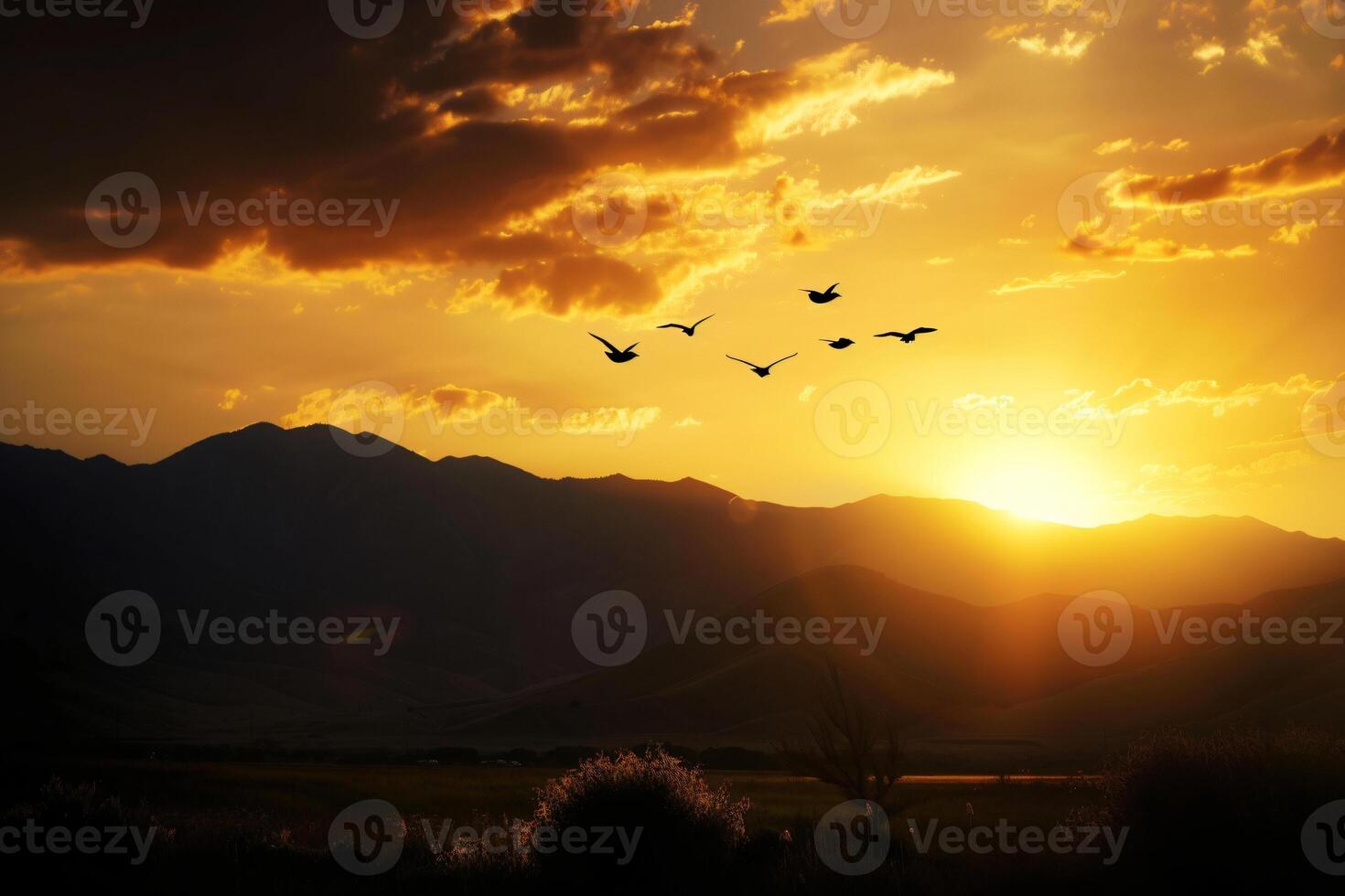 photo breathtaking sunset in the evening