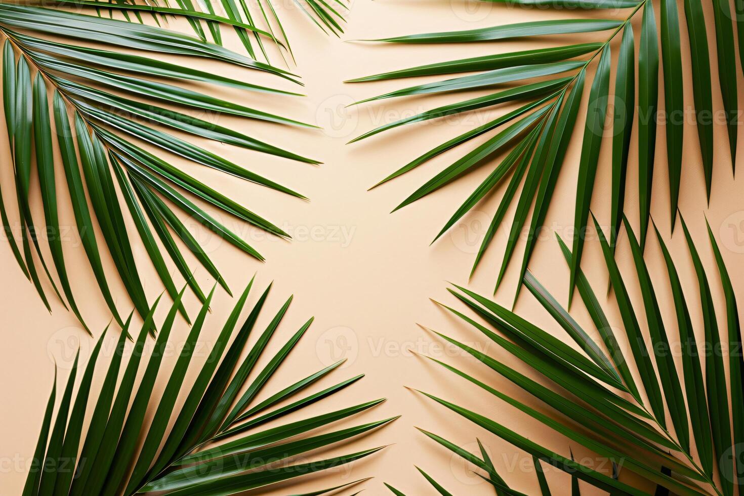 photo fresh palm leaves on beige background