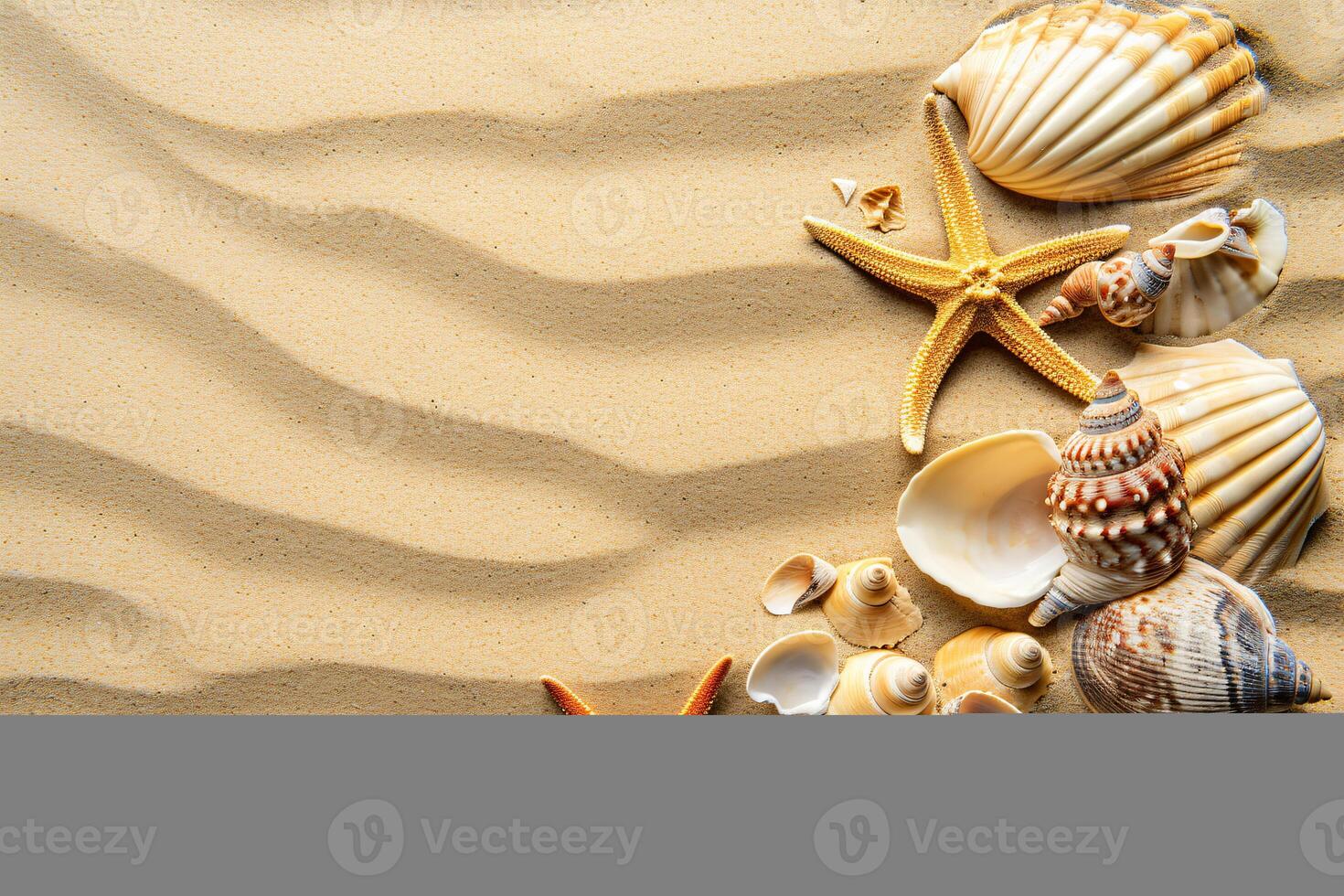 photo copy space sand with shells and starfish