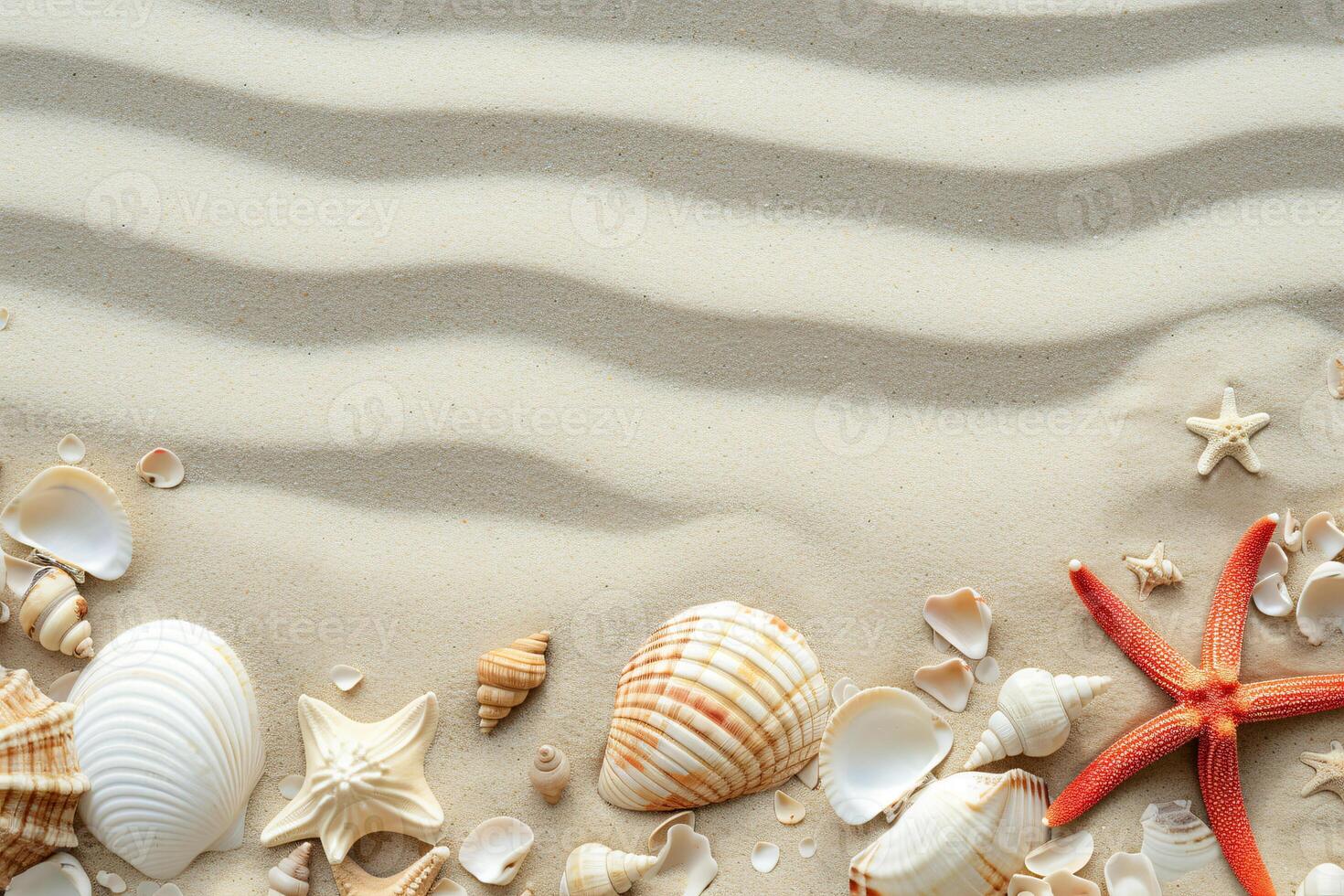 photo copy space sand with shells and starfish