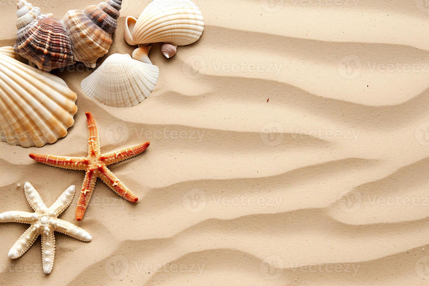 photo copy space sand with shells and starfish