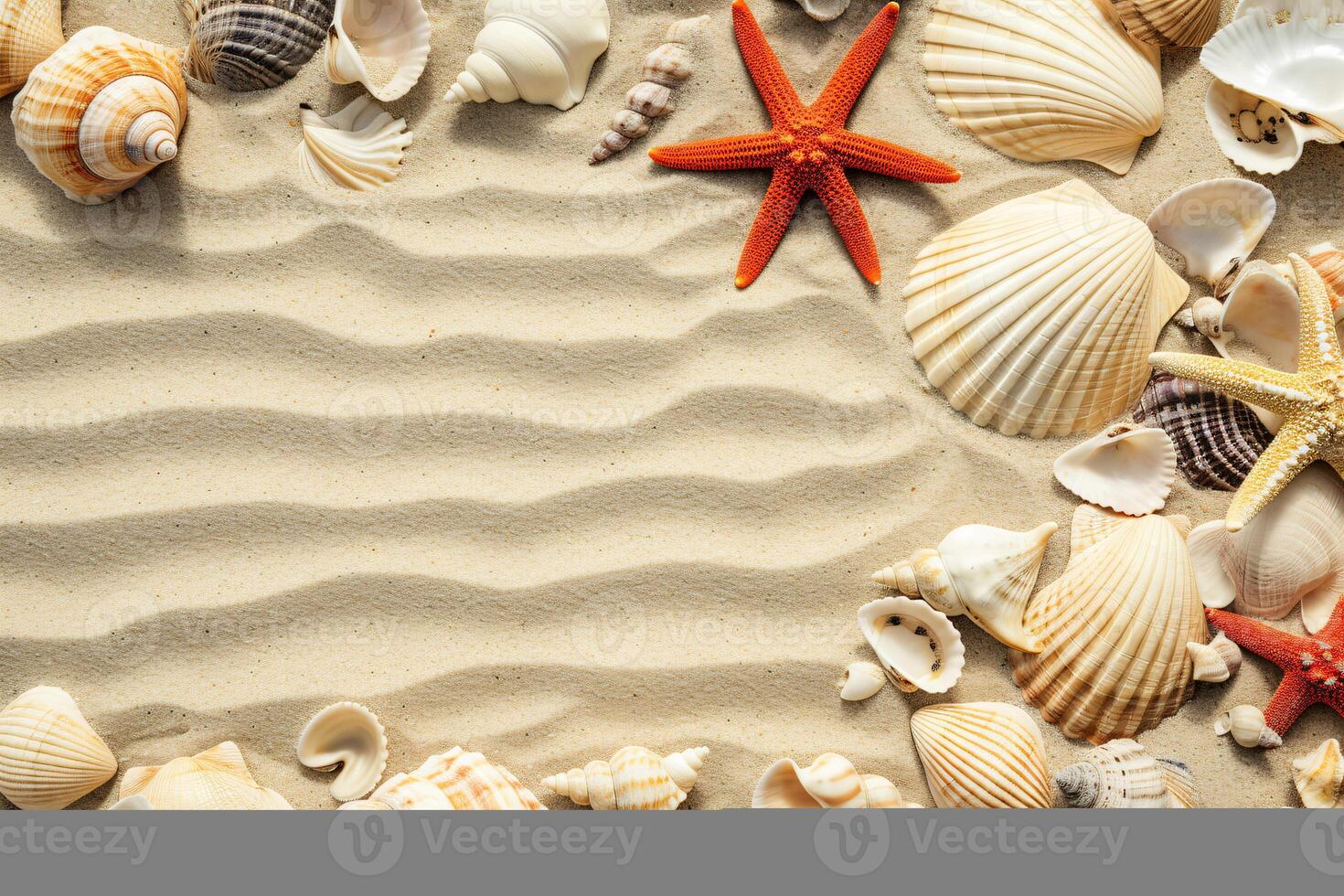 photo copy space sand with shells and starfish