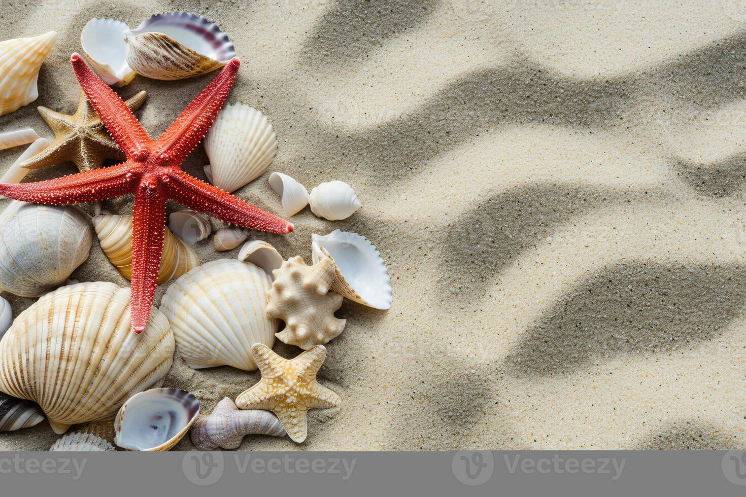 photo copy space sand with shells and starfish