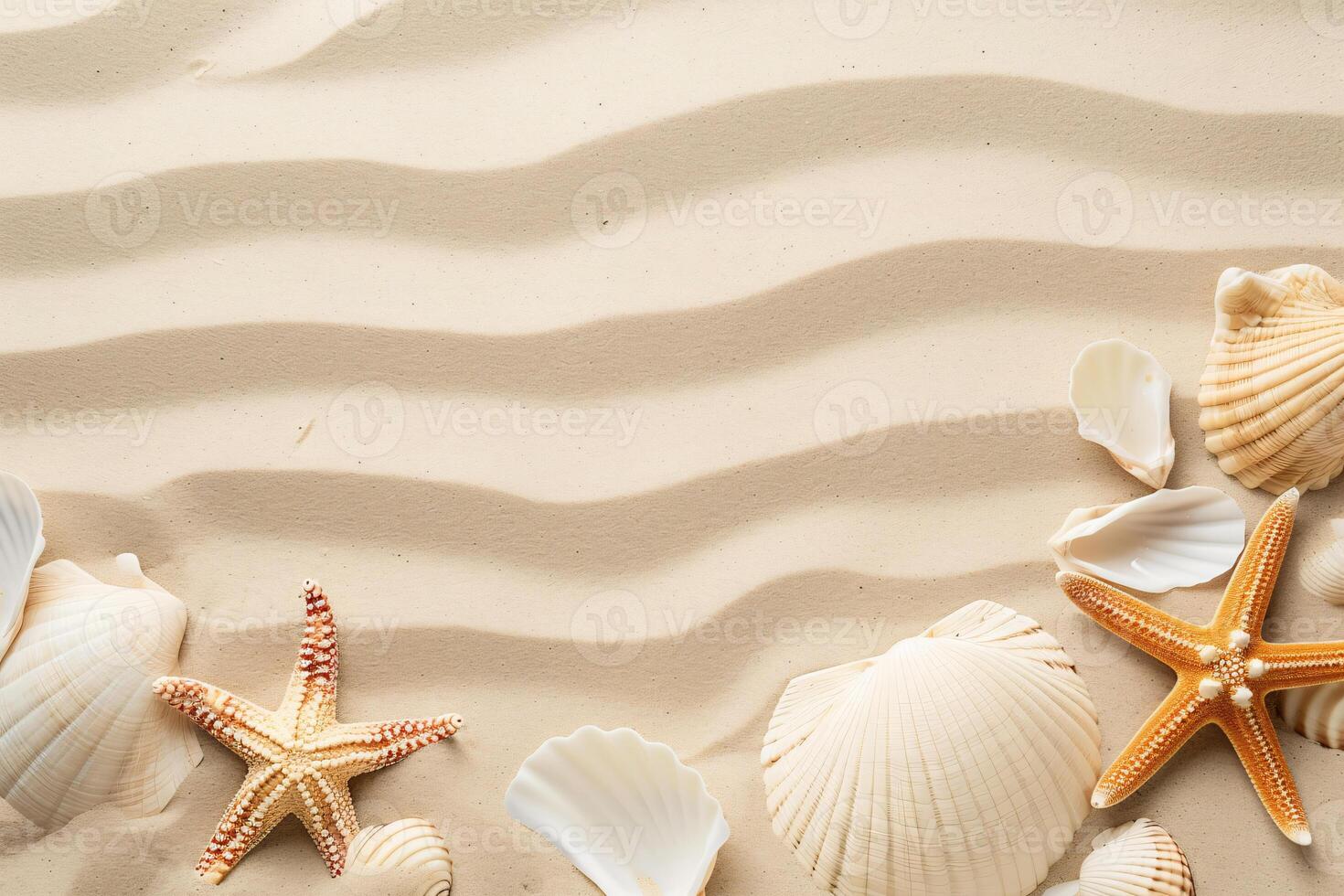 photo copy space sand with shells and starfish