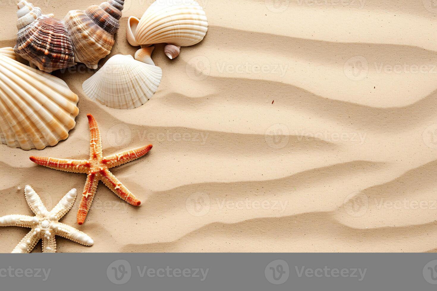 photo copy space sand with shells and starfish