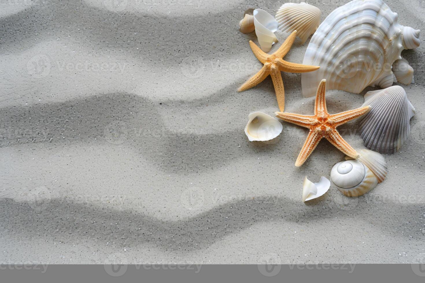 photo copy space sand with shells and starfish