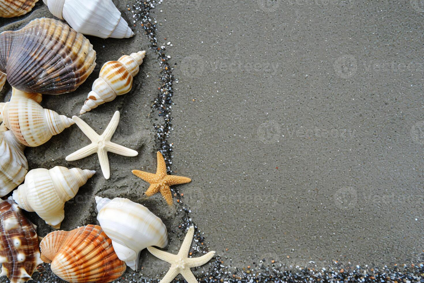 foto Copiar espacio arena con conchas y estrella de mar