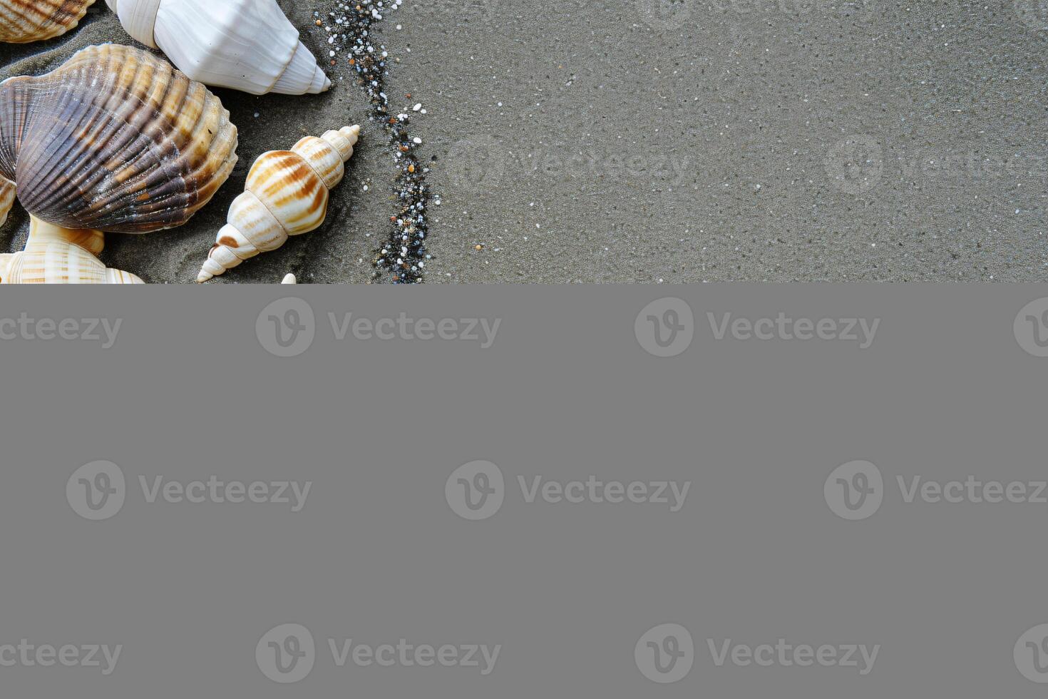 foto Copiar espacio arena con conchas y estrella de mar