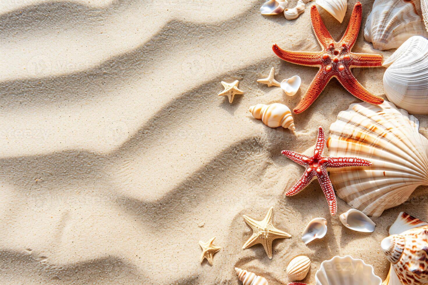 photo copy space sand with shells and starfish