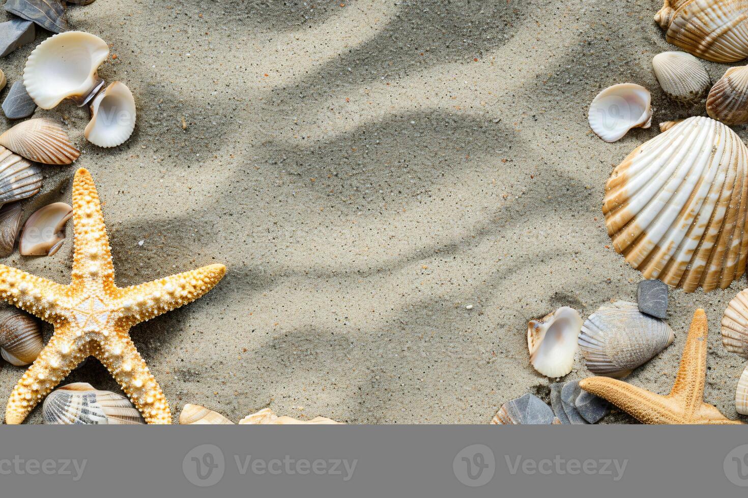 photo copy space sand with shells and starfish
