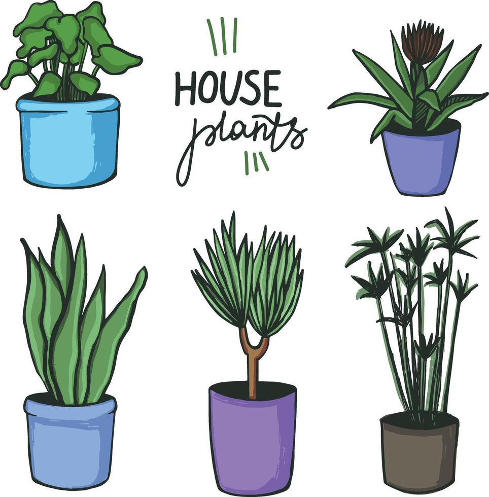 Urban jungle, trendy home decor with plants, house plants in stylish pots vector