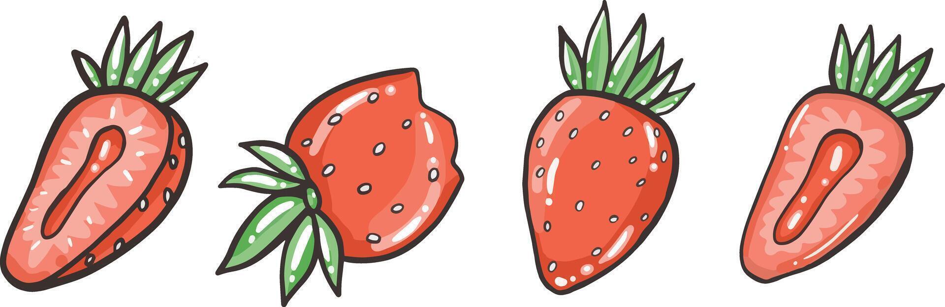 fresa . dulce rojo Fruta conjunto en dibujos animados estilo aislado en blanco vector