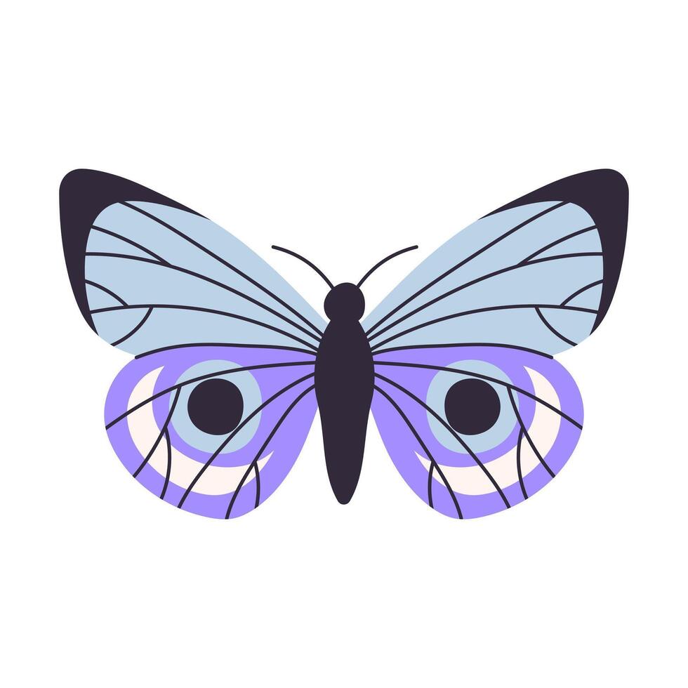 Beautiful colorful butterflies, vector