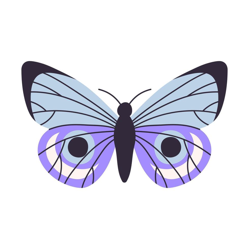 Beautiful colorful butterflies, vector