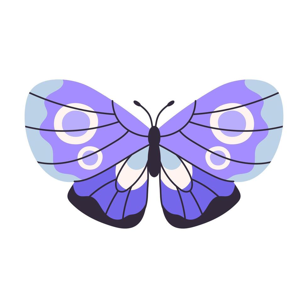 Beautiful colorful butterflies, vector