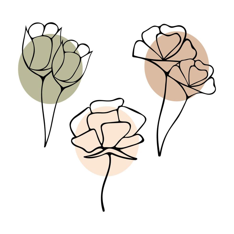 illustration of a set of wild plants, flowers on a white background. vector