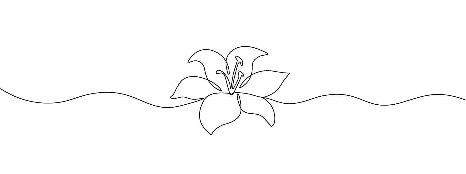 A lily flower drawn with one continuous editable line. Linear flower. illustration. vector