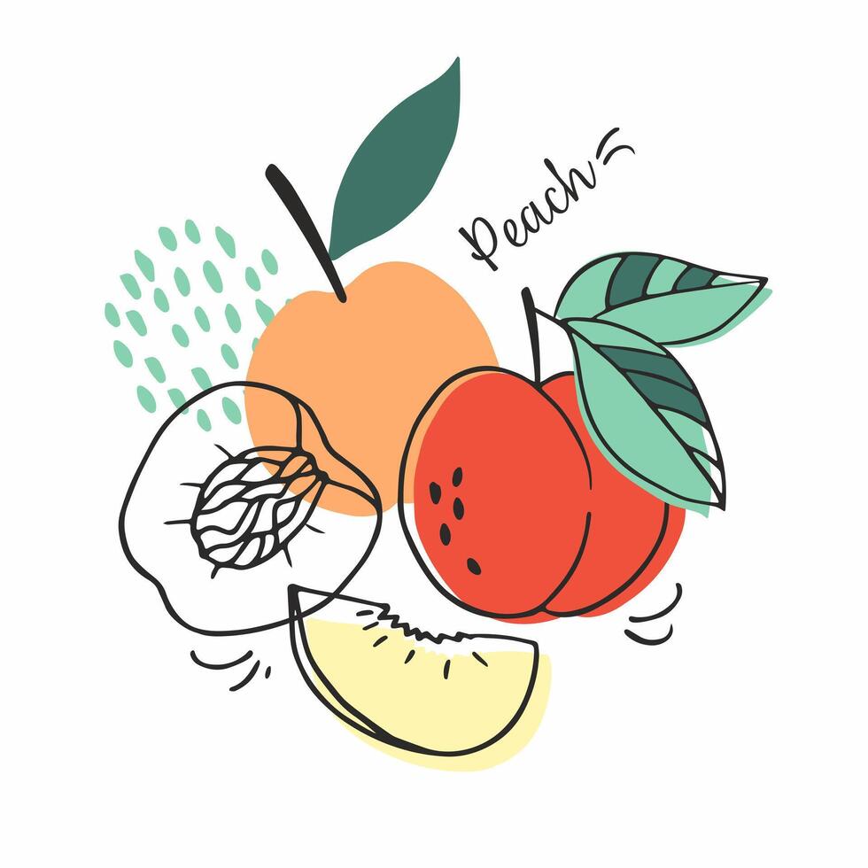 Fruit set of bright and juicy peaches. Doodle fruits. For menu, shop, posters, stickers, cards, interior decor. Cartoon design. vector