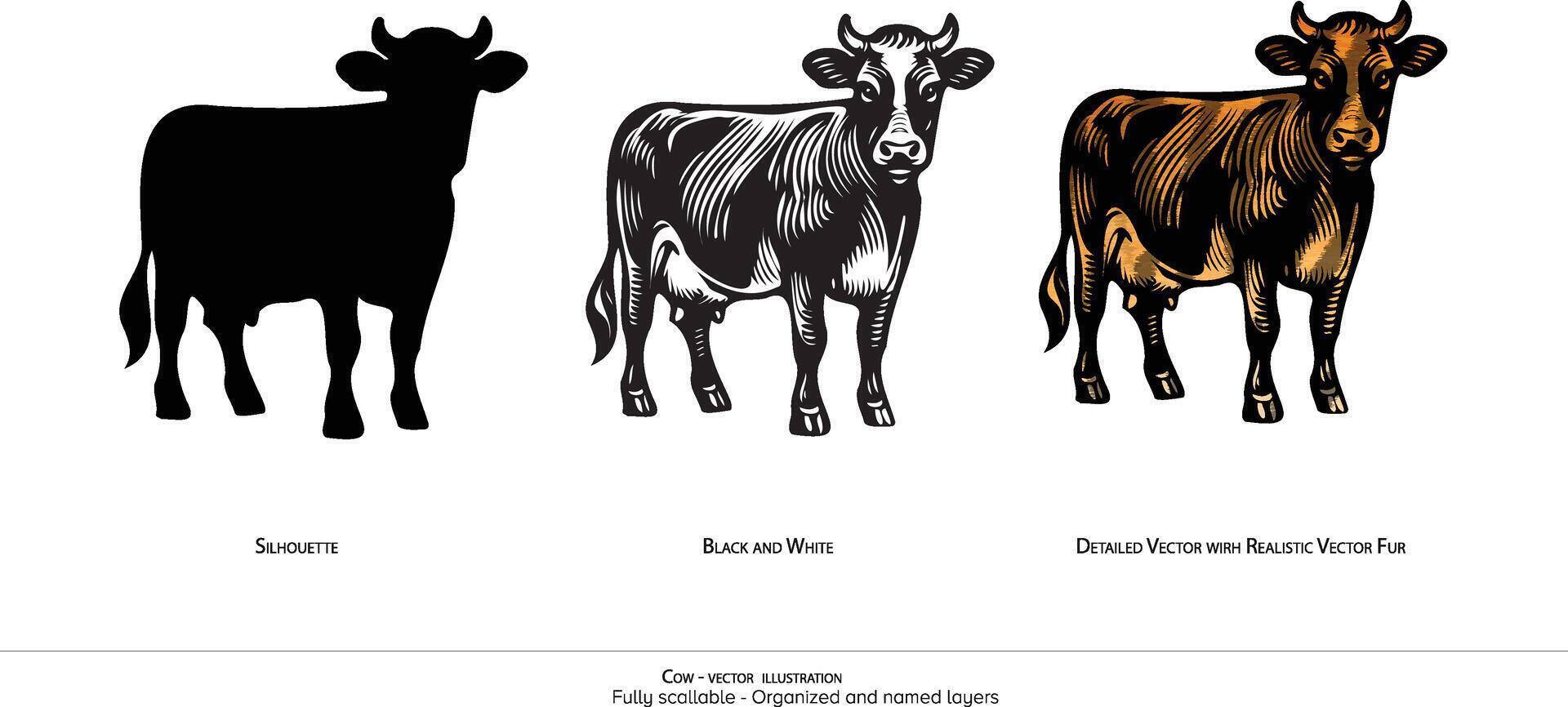 lechería vaca ilustración - silueta negro y blanco y de colores. organizado capas, animación Listo vector