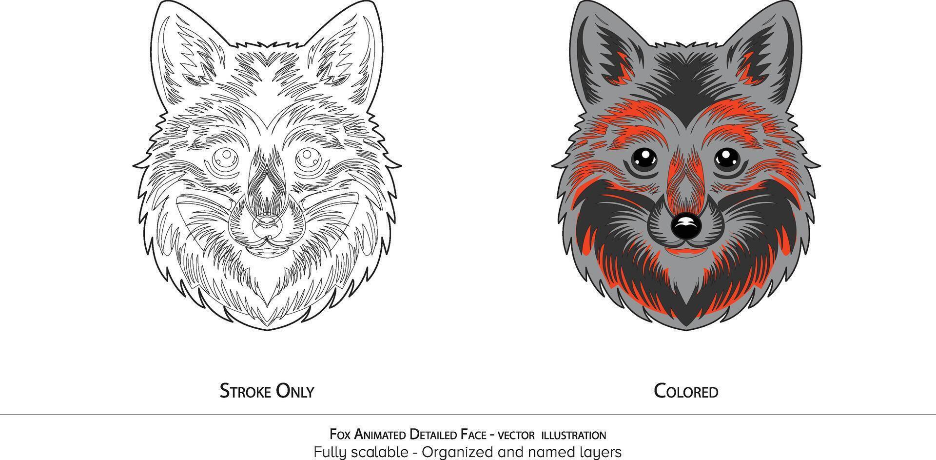 Fox Face Illustration. Illustration - realistic animal illustration - organized layers and animation ready . Realistic fox drawing vector