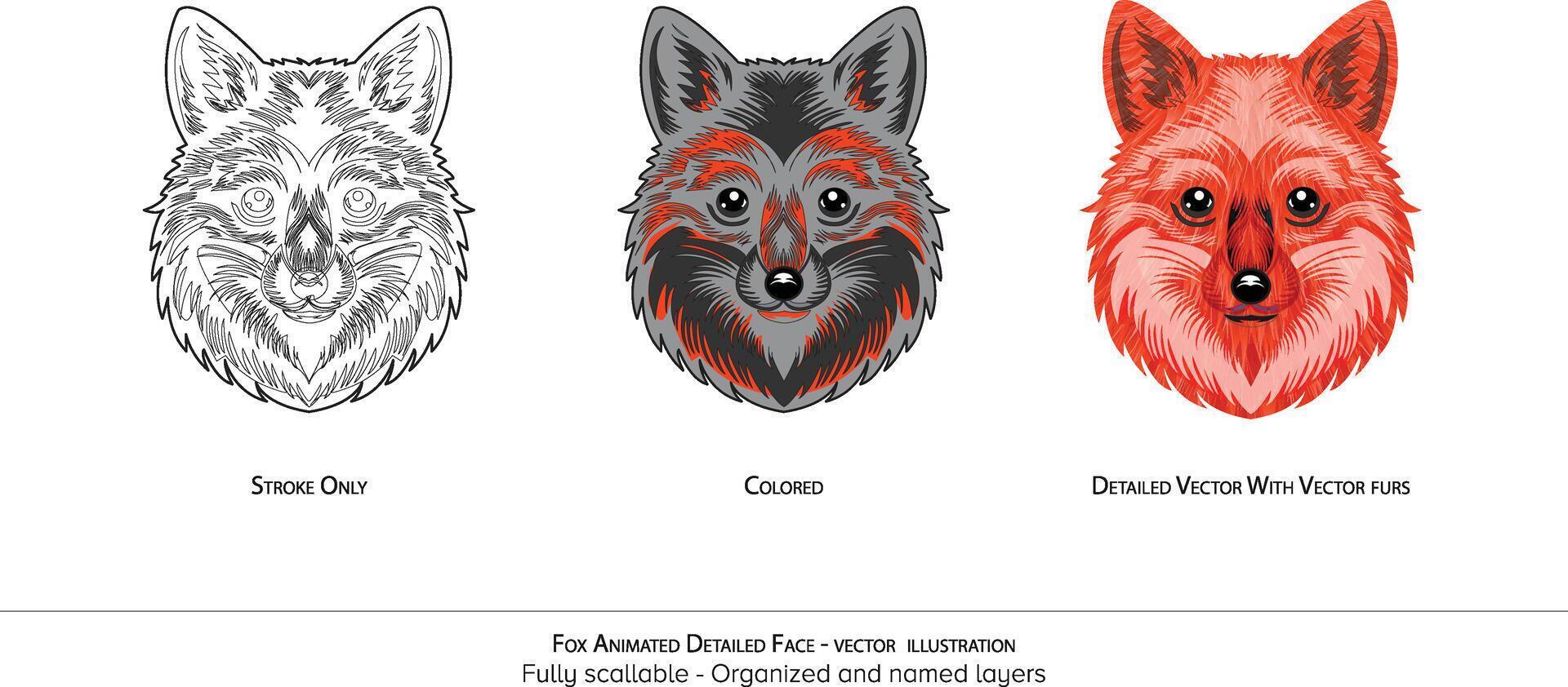 Fox Face Illustration. Illustration - realistic animal illustration - organized layers and animation ready . Realistic fox drawing vector