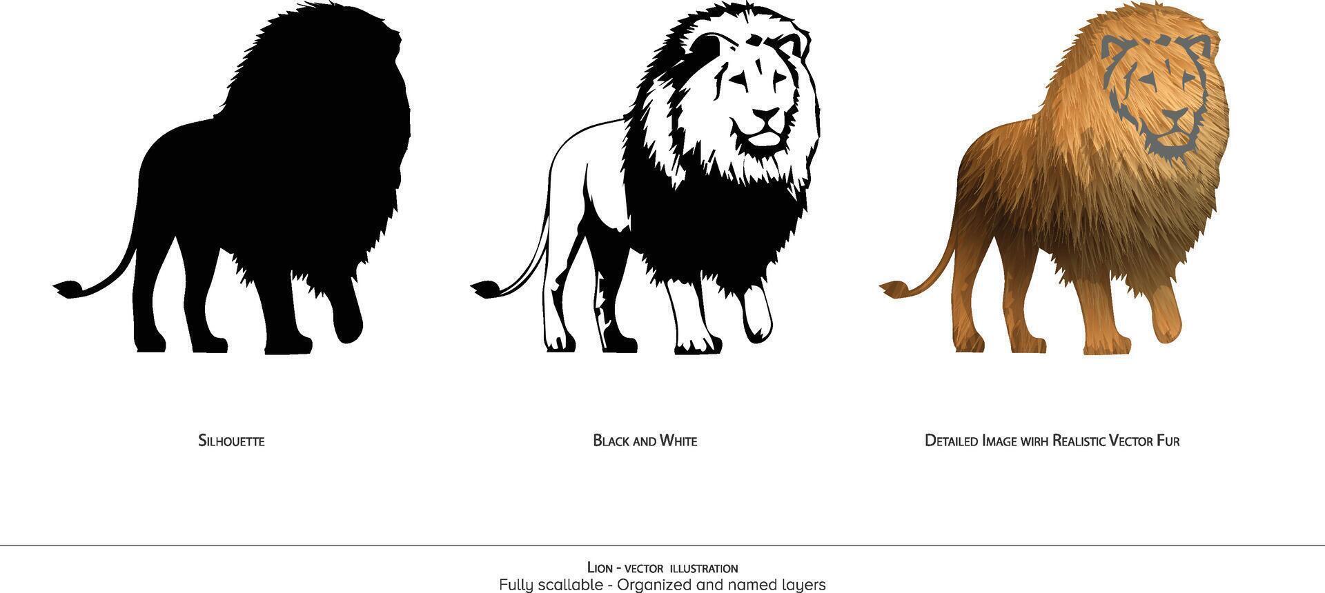 majestuoso león ilustración. león silueta. negro y blanco. león. detallado . realista animal ilustración - organizado capas y animación Listo . realista león dibujo vector