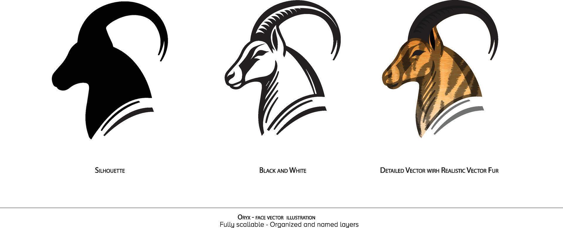 Oryx Face only illustration. Animal drawing. Oryx Detailed illustration. Silhouette, black and white. Organized and named layers vector