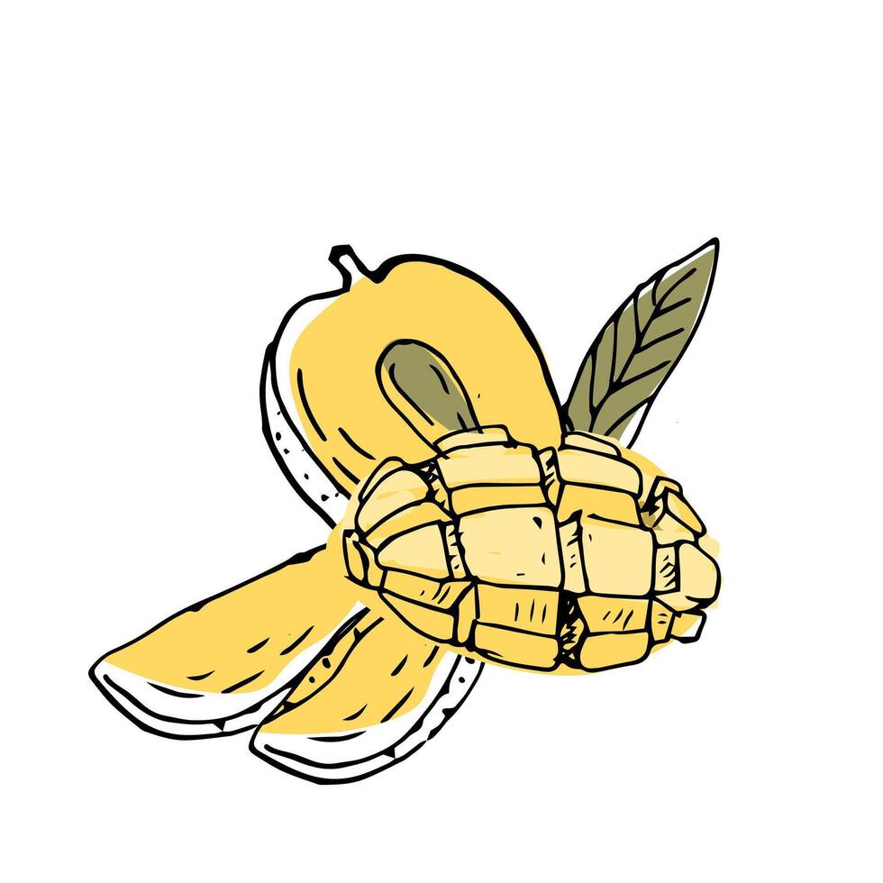 Mango sliced and half fruit ink sketch illustration vector