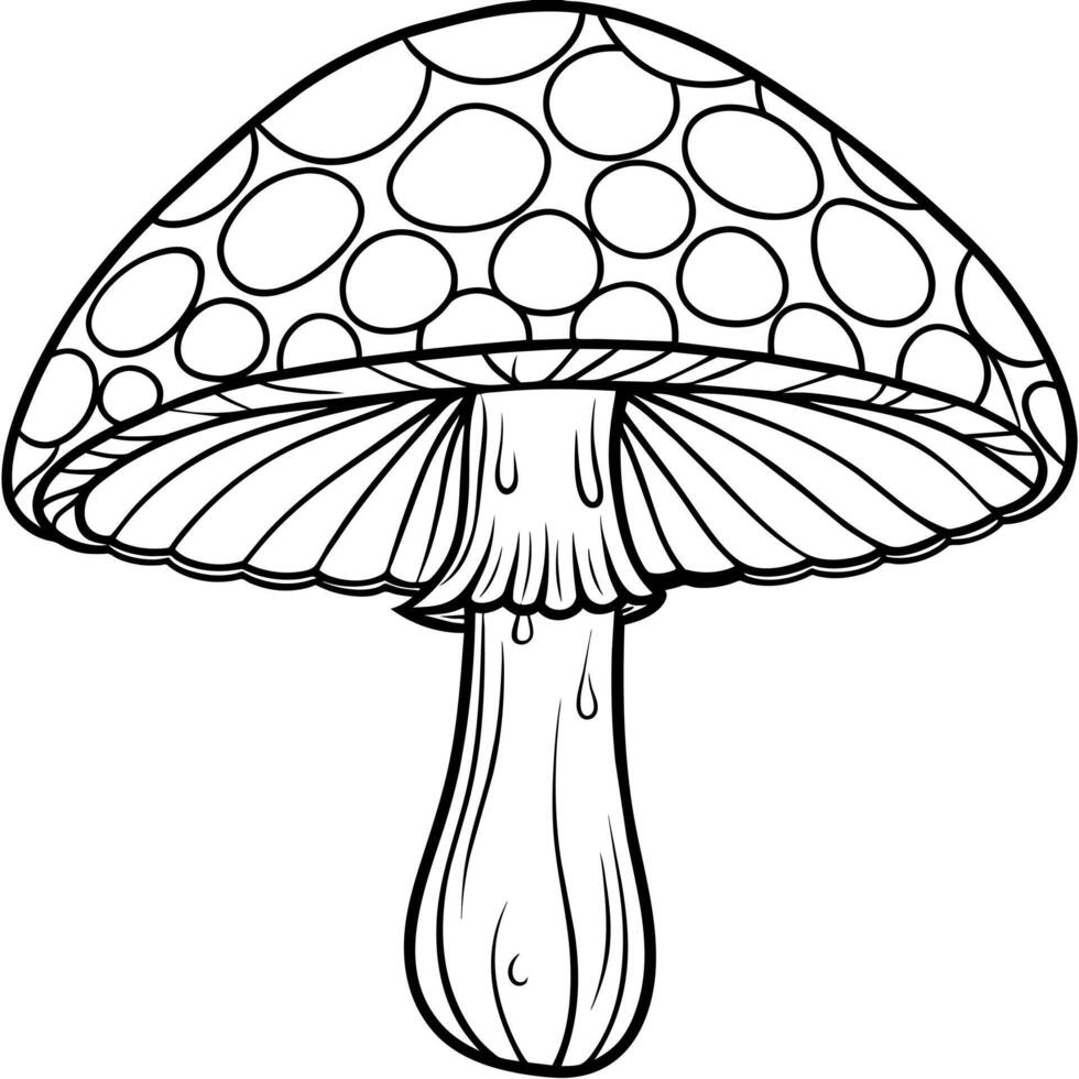 Mushroom outline illustration digital coloring book page line art drawing vector