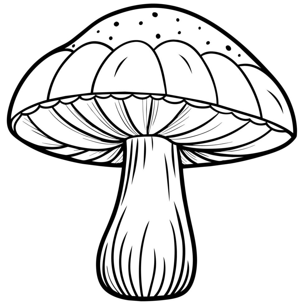 Mushroom outline illustration digital coloring book page line art drawing vector