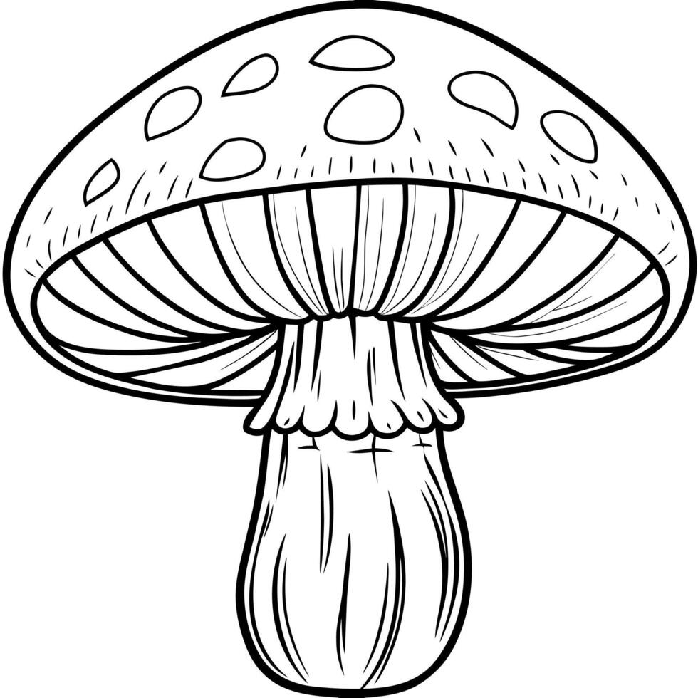 Mushroom outline illustration digital coloring book page line art drawing vector