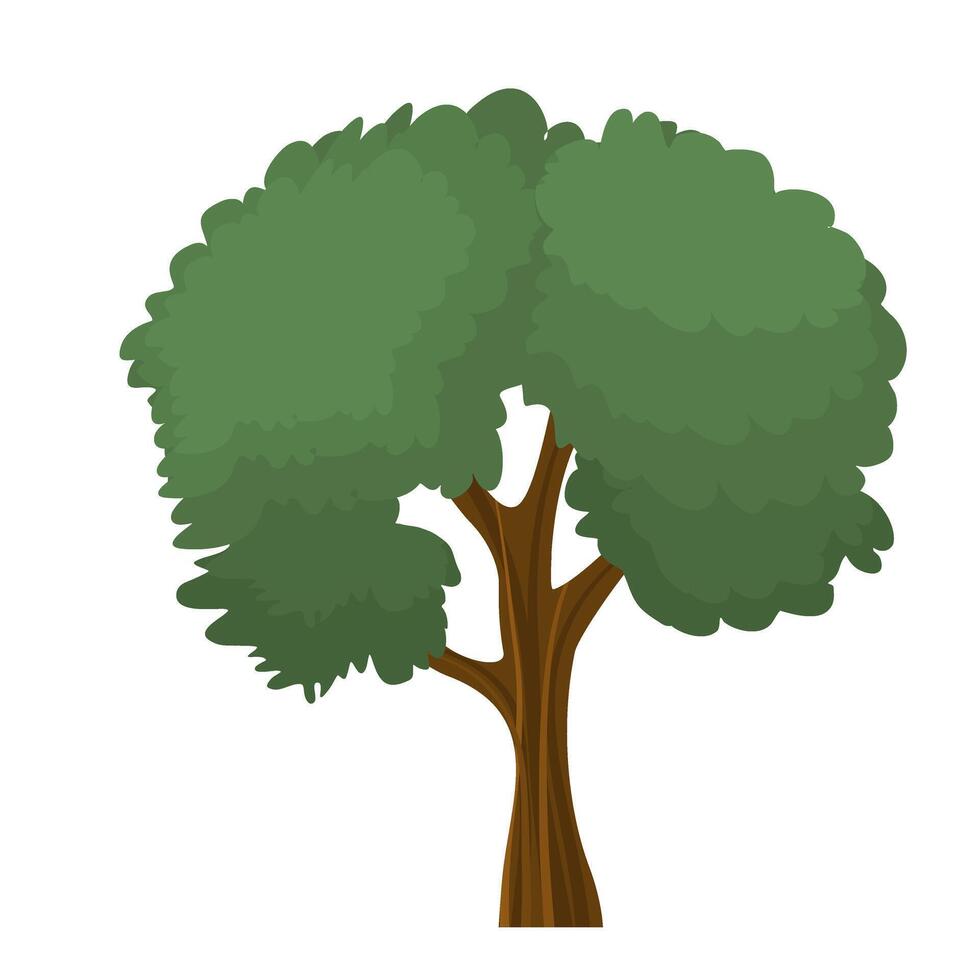 Isolated of an oak tree, flat illustration. vector