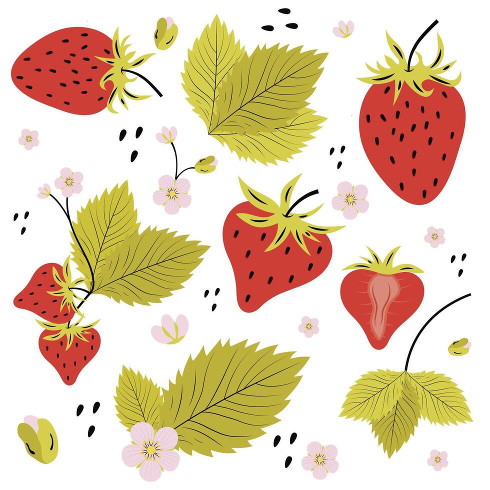 Strawberry set, leaves and flowers in a flat style on a white background. A hand drawn simple illustration depi cting a strawberry in the style of a flat . vector