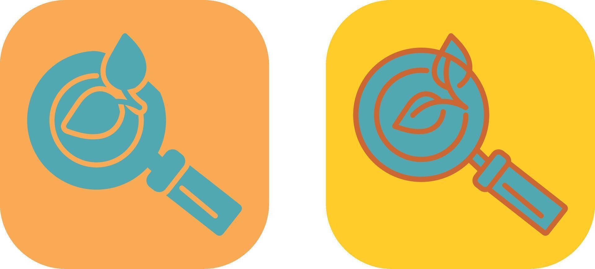 Organic Search Icon vector